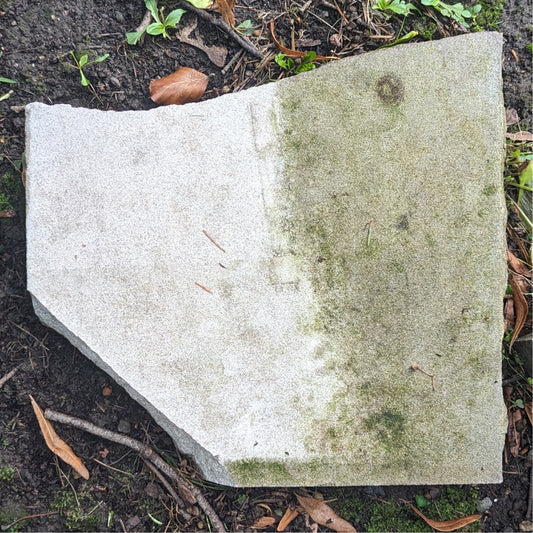 HYDRO GUARD & PURE GUARD | HALF-TREATED LIMESTONE BLOCK EXPERIMENT LEFT AT GREEN-WOOD CEMETERY