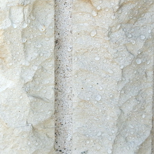 REPAIR GUARD | PROTECTS A RESIDENTIAL white hollow brick WALL IN BROOKLYN, NYC