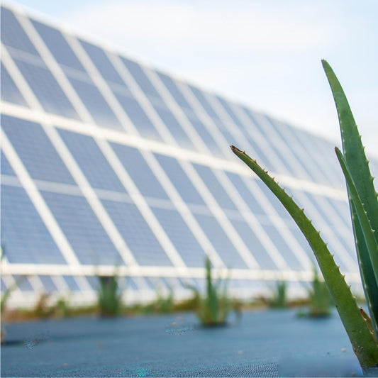 SOLAR GUARD | INCREASES ENERGY YIELD AT A 1MW SOLAR FARM