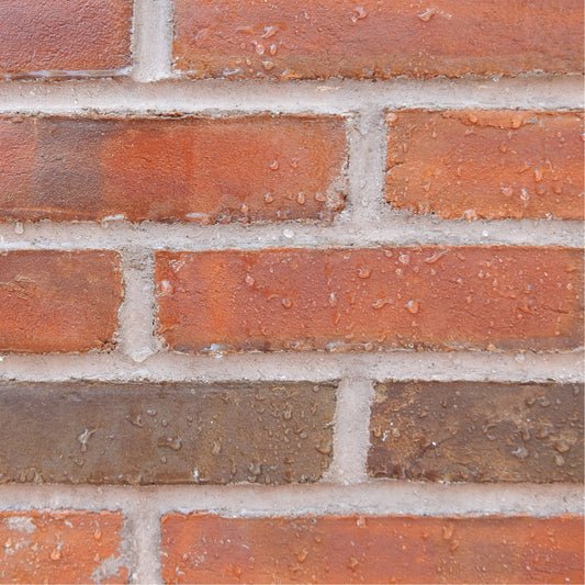 Hydro Guard & Pure Guard | is the perfect combo to protect & self-clean building exteriors