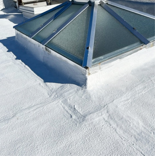 ROOF PA100 | REPAIRS & PROTECTS DELAMINATING SILVER-COATED RESIDENTIAL ROOF